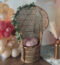 Peacock Chairs (Brown)
